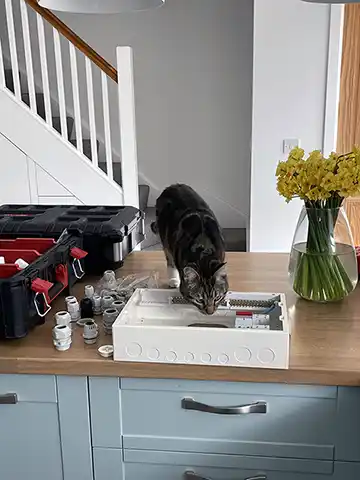 The new apprentice